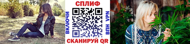 цена Щигры Марихуана планчик
